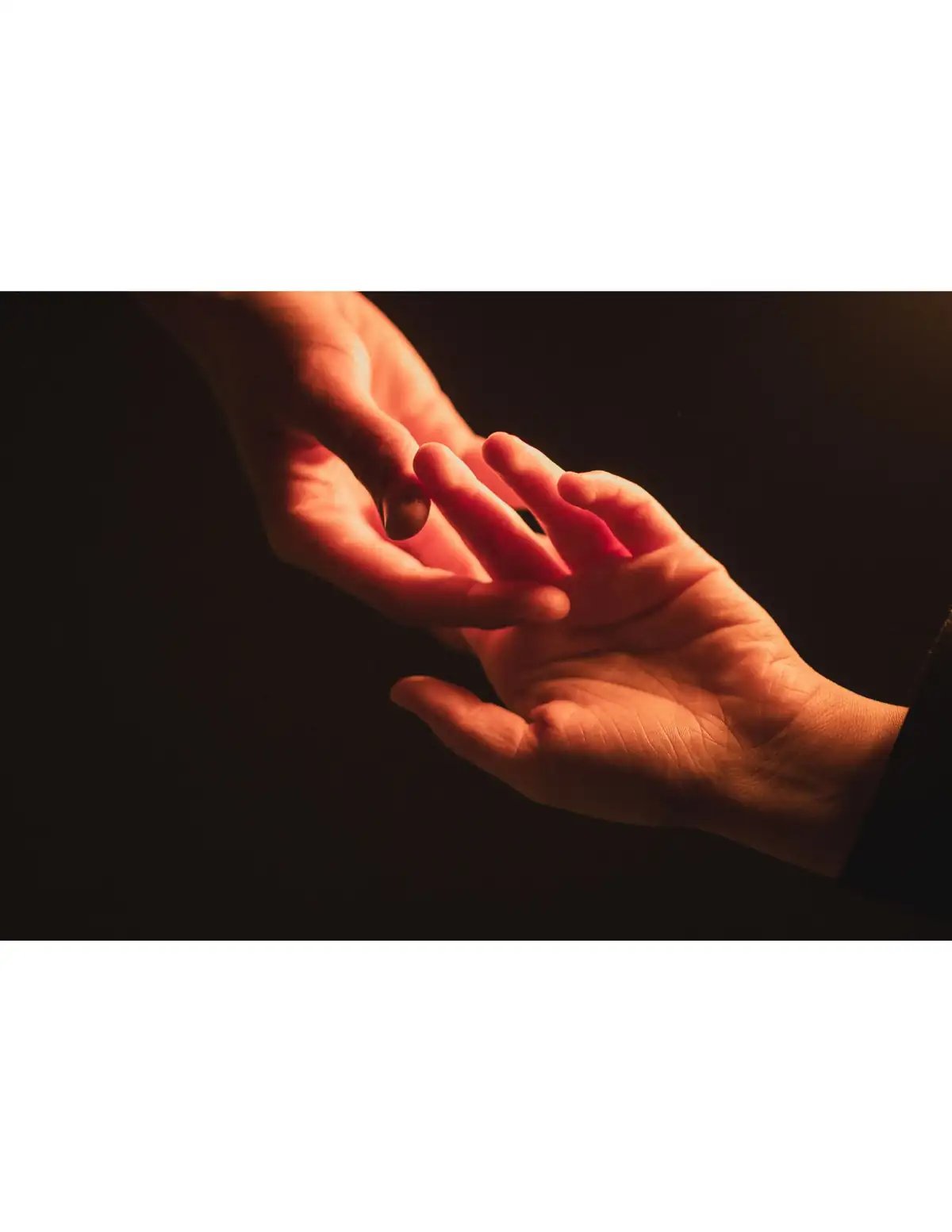 Wholesome Nourishment: What It Actually Means to Feed Yourself